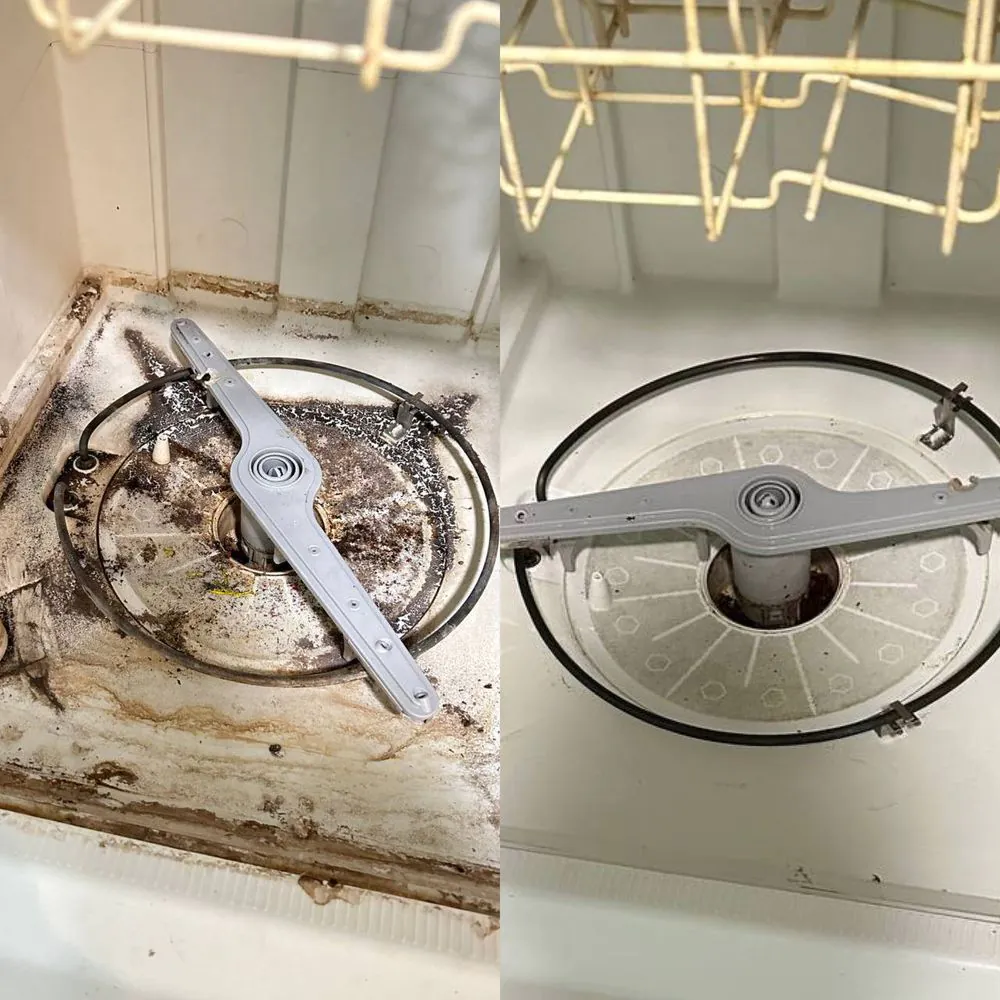 Maria's Magic Broom — cleaned space 14